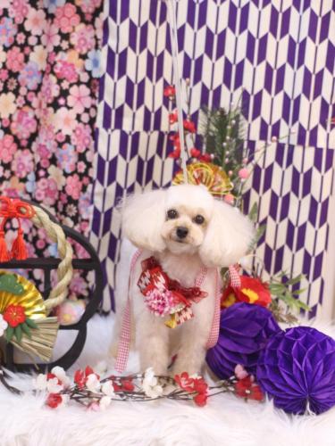 20250116リコちゃん